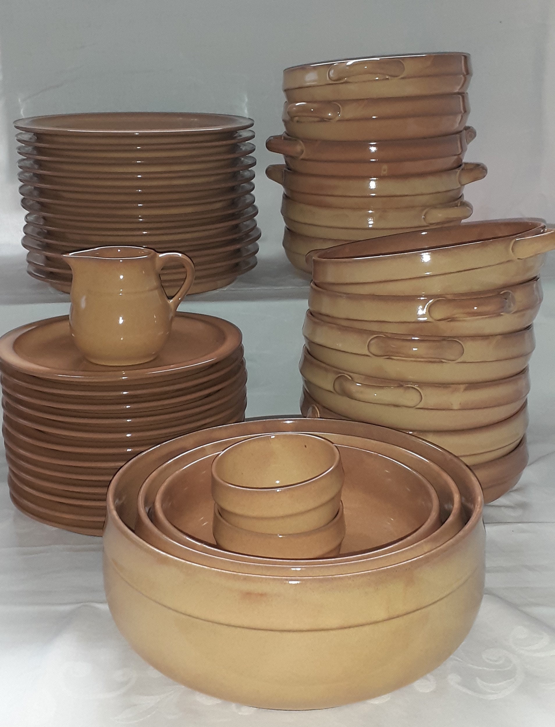 Premium Ceramic Dish Set with 42 Pieces - Friesland Ceracron Premium Ceramic Dish Set with 42 Pieces - Friesland Ceracron