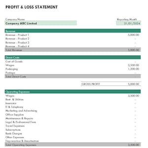 May include: A profit and loss statement for Company ABC Limited, reporting for the month of January 31, 2024. The statement shows revenue, direct costs, operating expenses, and other expenses, with a total net profit of $1,500.00.