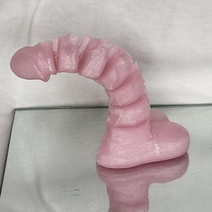 Articulated Weiner, home decoration
