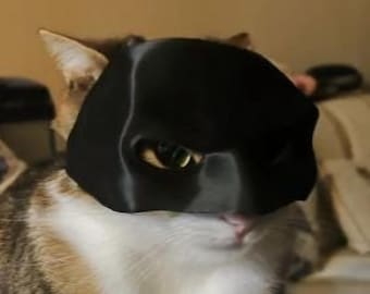 Maschera per il viso di un gatto stampata in 3D – Accessorio per costumi e accessori fotografici per animali domestici – Divertente decorazione per gatti e regalo per gli amanti dei gatti