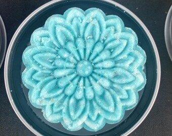 Aqua Forest Shampoo Bar