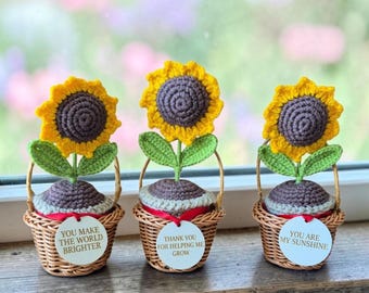 Crochet Sunflower Pot | Emotional Support Gift for Graduation, Teachers Appreciation or Housewarming