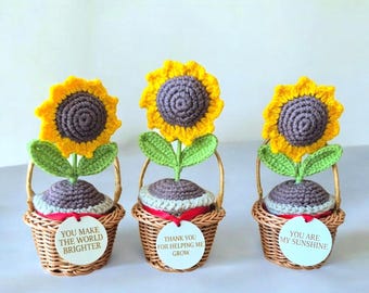 Pot de tournesol, de marguerite, de rose et de tulipe au crochet | Plante de soutien émotionnel | Cadeau fleur