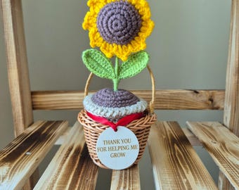 Crochet Sunflower, Daisy, Rose and Tulip Pot | Emotional Support Plant | Flower Gift