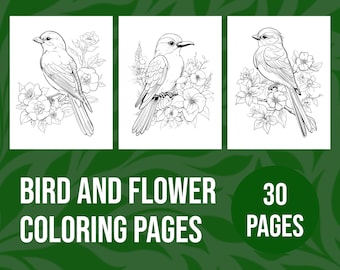 Bird and Floral Coloring Pages: 30 Elegant Nature Designs (PDF & PNGs)