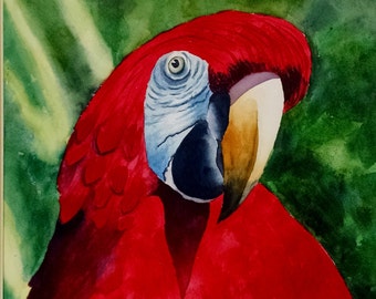 Red Macaw Parrot Watercolor Painting Sale