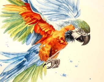 Parrot Watercolor Painting: Red, Blue & Gold Bird Art