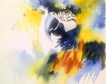 Parrot Head Tropical Bird Watercolor
