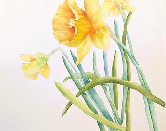 A Taste of Spring Daffodils Watercolor