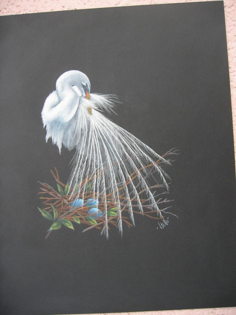 White Egret Bird Colored Pencil