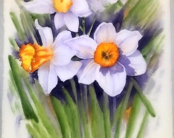 Daffodil Field of Flowers Watercolor