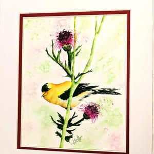 Goldfinch Bird Thistle Flower Watercolor Painting