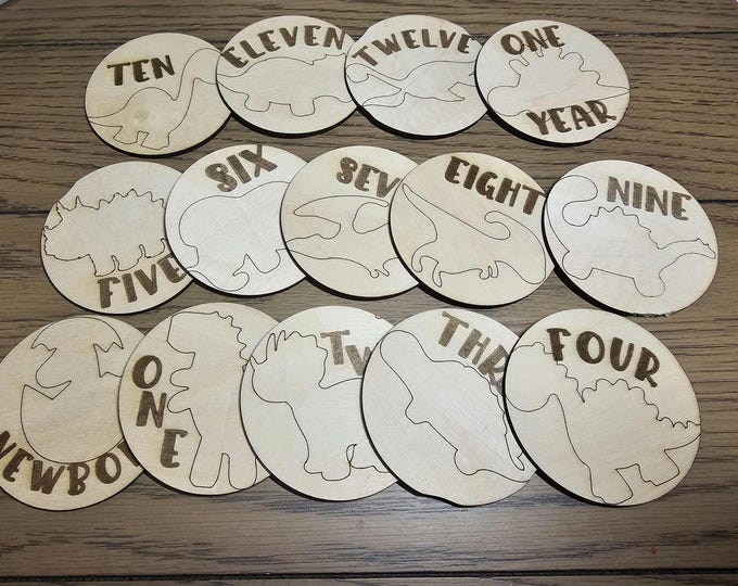 Dinosaur Monthly Milestones, Engraved  Wooden Dinosaur Themed Milestone Tags Newborn to 1 Year