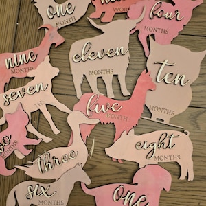 Farm Animal Monthly Milestone Markers: 3D Wooden Photo Props