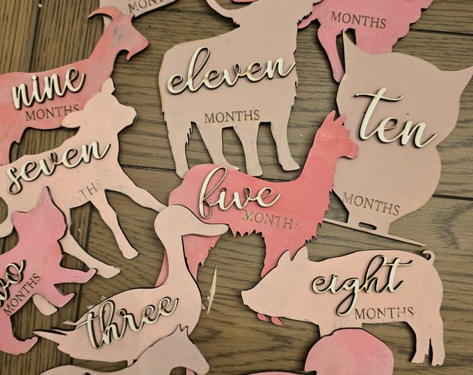 Farm Animal Shaped Monthly Milestones, 3D Wooden photo props Newborn to 1 Year - Pick any 3 colors