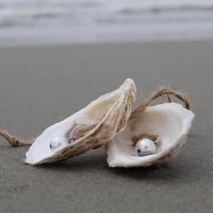 May include: Two seashells with a pearl inside each. The shells are on a sandy beach.