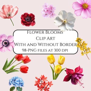 Flower Clip Art Digital Scrapbook Junk Journal Supplies Printable Flowers Fussy Cut Designs Collage Sheet Spring Download Clipart for Crafts