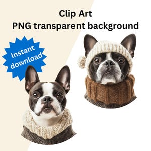 2 PNG Boston Terrier chandails en tricot Clip Art, artisans, planificateurs, téléchargement numérique, autocollant, carte réaliste, usage instantané commercial mignon