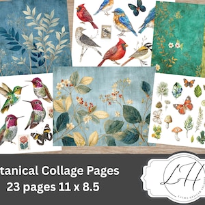 Paquet d'éphémères botaniques pour le collage et kit imprimable de grappes d'oiseaux, fleurs, arbres, papiers colibris pour le fond et la superposition, renard, hibou