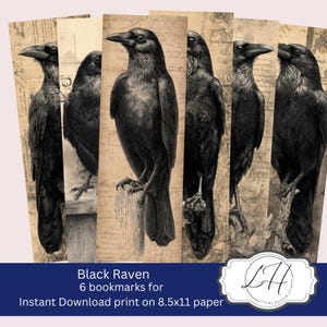 Puede incluir: Juego de seis marcapáginas con ilustraciones detalladas de cuervos negros sobre un fondo de pergamino vintage. Los marcapáginas tienen un borde azul oscuro con el texto "Black Raven 6 bookmarks for Instant Download print on 8.5x11 paper."
