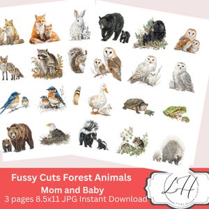 May include: A selection of watercolour illustrations of forest animals, such as foxes, bears, and owls, with their offspring. The text "Fussy Cuts Forest Animals Mom and Baby" is displayed below the images. The images are 21.6 x 27.9 cm.
