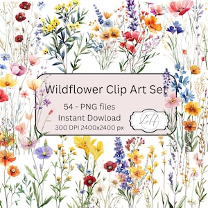Ensemble de 54 fleurs sauvages, clipart en téléchargement numérique, graphiques floraux, art imprimable, scrapbooking, fabrication de cartes, fournitures, fleurs florales, autocollant PNG