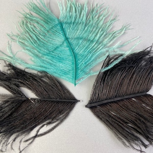 Millinery Feather plumes 3 pc Victorian era
