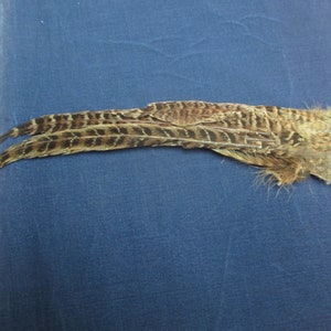 Antique Victorian Millinery feather plume
