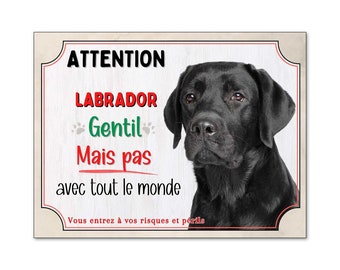 Plaque 'Attention Chien Labrador En Liberté' 15x20 Cm - Aluminium Personnalisable | Humour Et Prévention Pour Entrée Maison - 9
