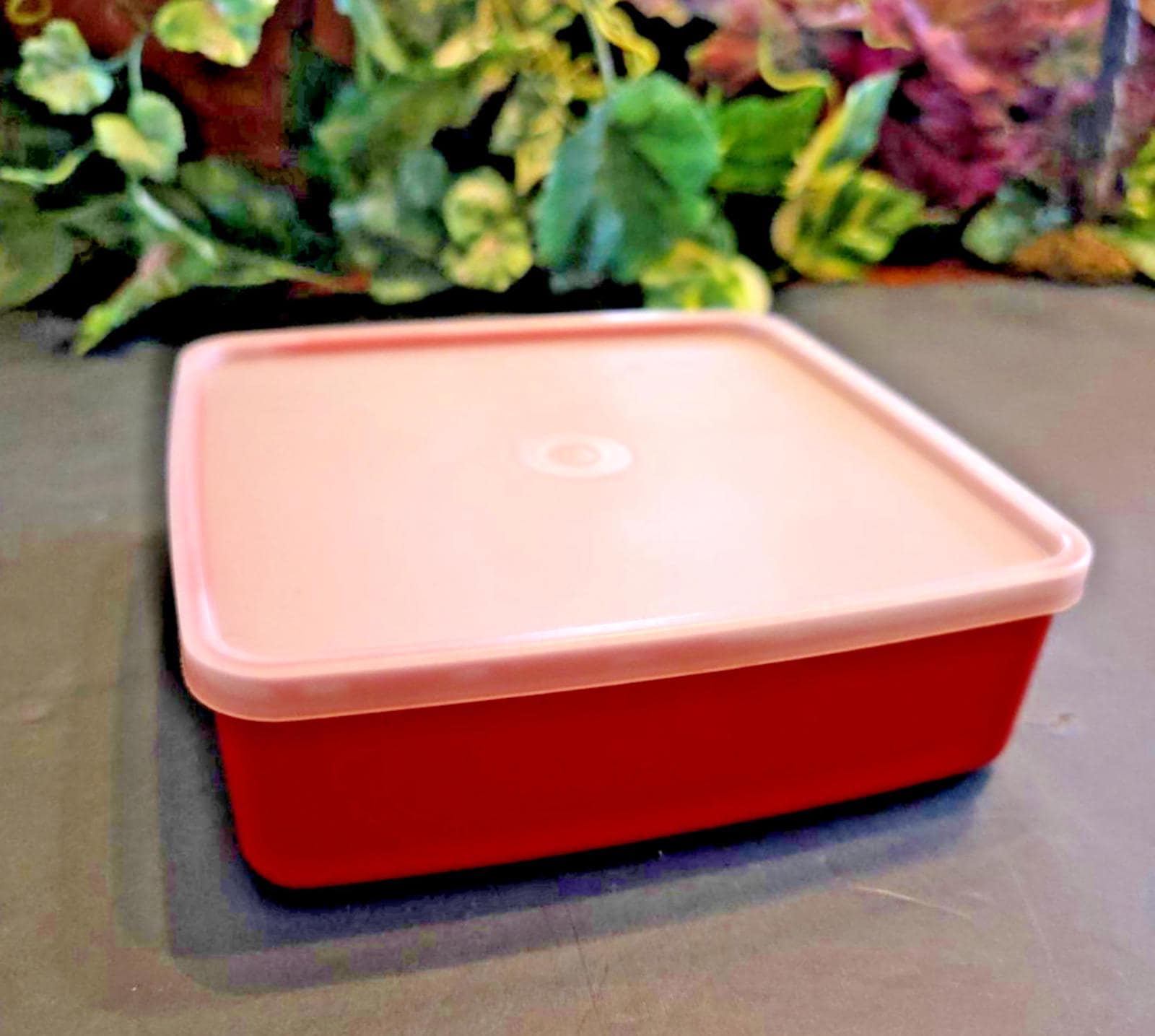 Vintage Tupperware #1458 Red Paprika Sandwich Keeper W/lid #1459