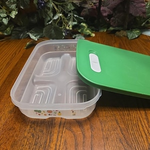 May include: A clear plastic food storage container with a green lid. The container has a rectangular shape with a patterned interior and a decorative border with colorful fruit illustrations. The green lid has a white handle.