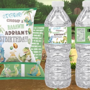 Dinosaur Chip Bag and Water Bottle Set Editable in Canva Dino Theme Party Favors