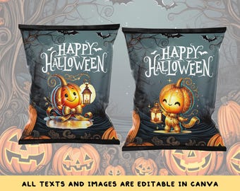 Lot de deux citrouilles lumineuses, spécial Halloween