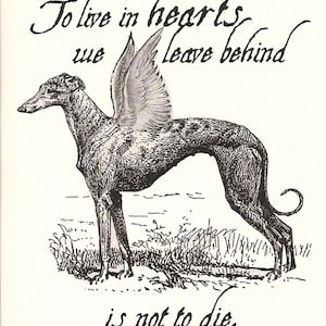 Cartes de sympathie pour chien lévrier avec enveloppes - Lithographie victorienne, lot de 4