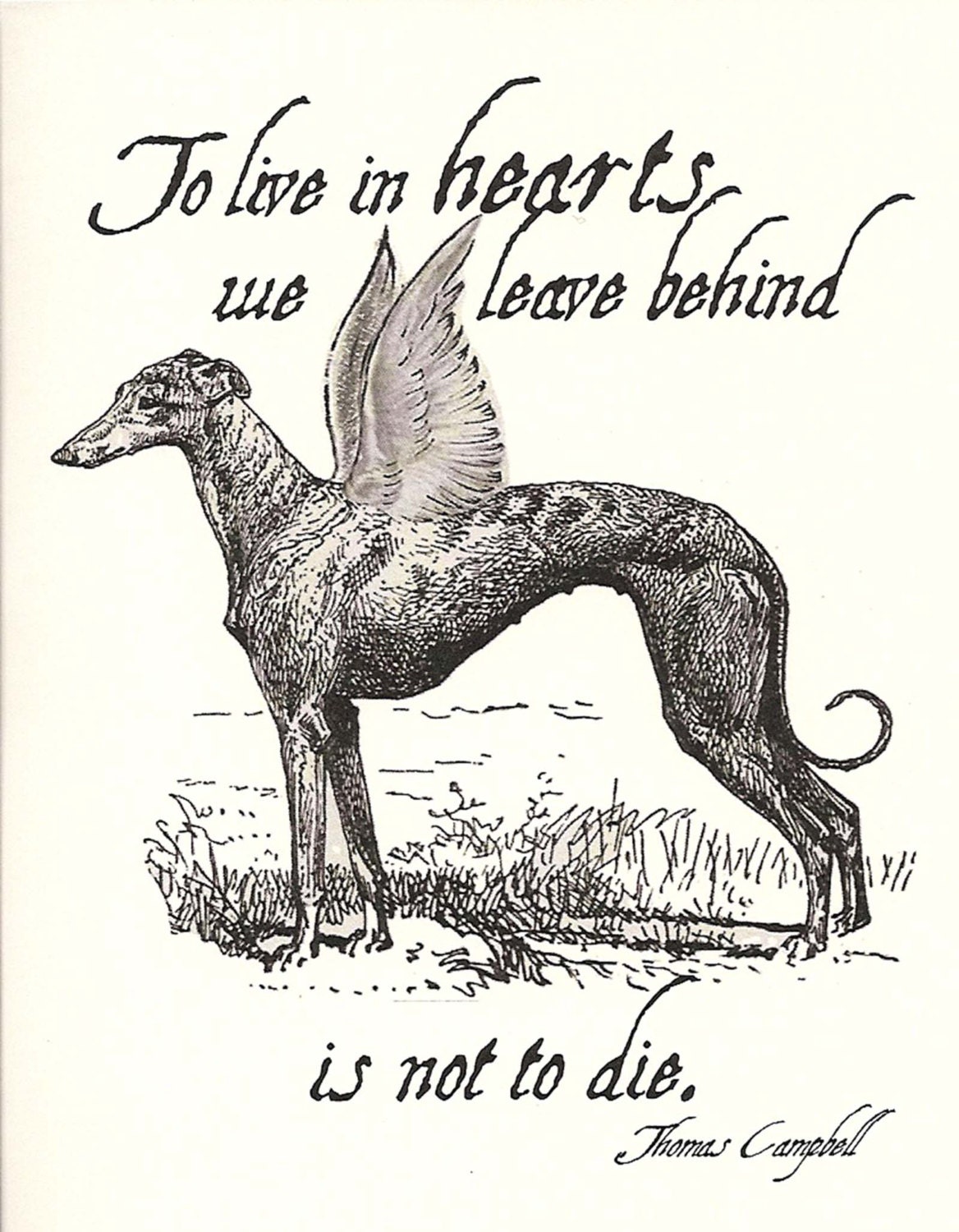 Greyhound Dog Sympathy Cards with Envelopes - Victorian Lithograph, set of 4