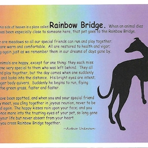 Windhund Hund Sympathie Karte mit Umschlägen - Regenbogen-Brücke, Satz von 4