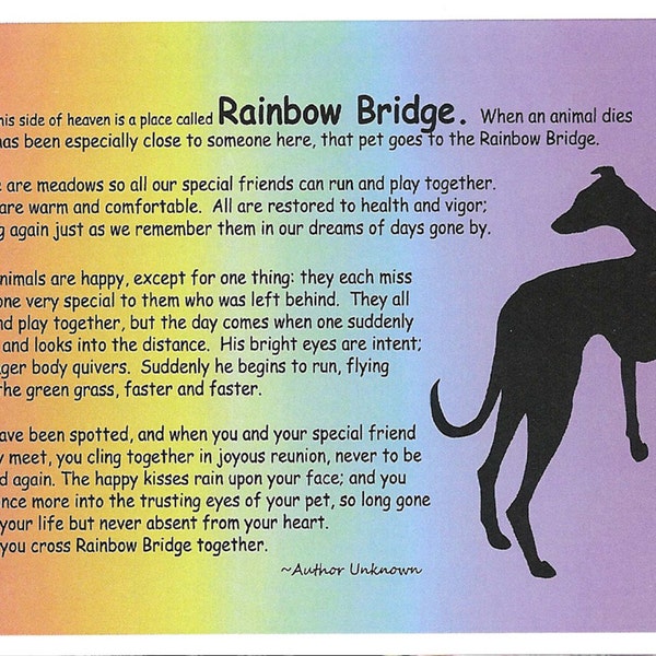 Greyhound Dog Sympathy Card with Envelopes - Rainbow Bridge, set of 4