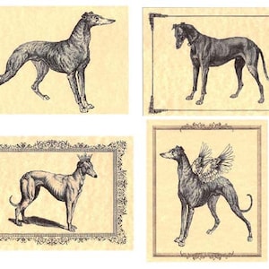 Victoriaanse Litho Greyhound Note Cards Whippet Galgo Dog, set/4 met enveloppen