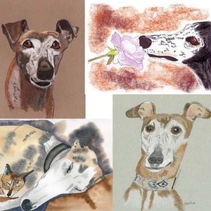 Sue Monahan Senior Dog Art Notecards Set of 4 w/env