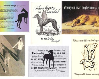 Greyhound Dog Sympathy Card Assortment - set of 6, with envelopes