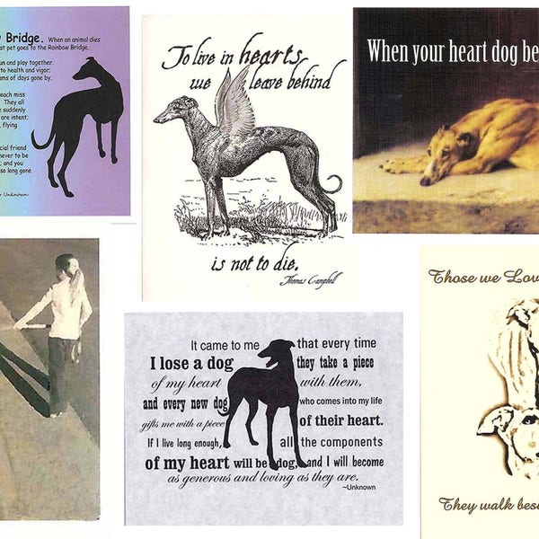 Greyhound Dog Sympathy Card Assortment - set of 6, with envelopes