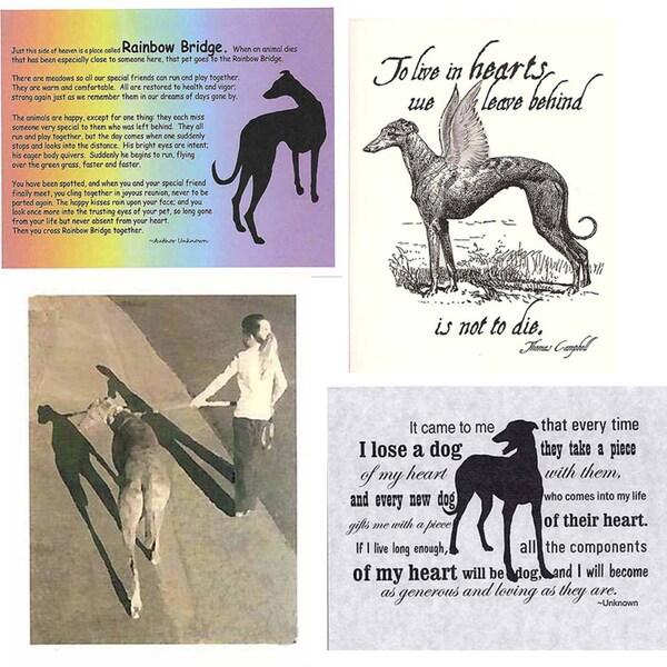 Greyhound Dog Sympathy Card Assortment - set of 4, with envelopes