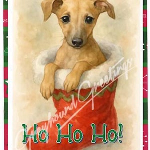 Cartes de vœux pour chiot lévrier dans un bas de Noël - Set/4 enveloppes