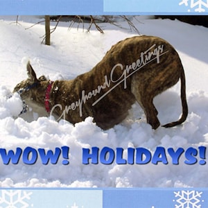 Cartes de vacances Greyhound - WOW Holidays - Set/4