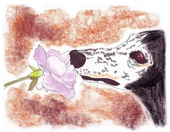 Sue Monahan Senior Dog Art Notecards Set of 4 w//envs