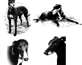 Black Beauties Greyhound Dog Note Cards Set of 4 w/envs