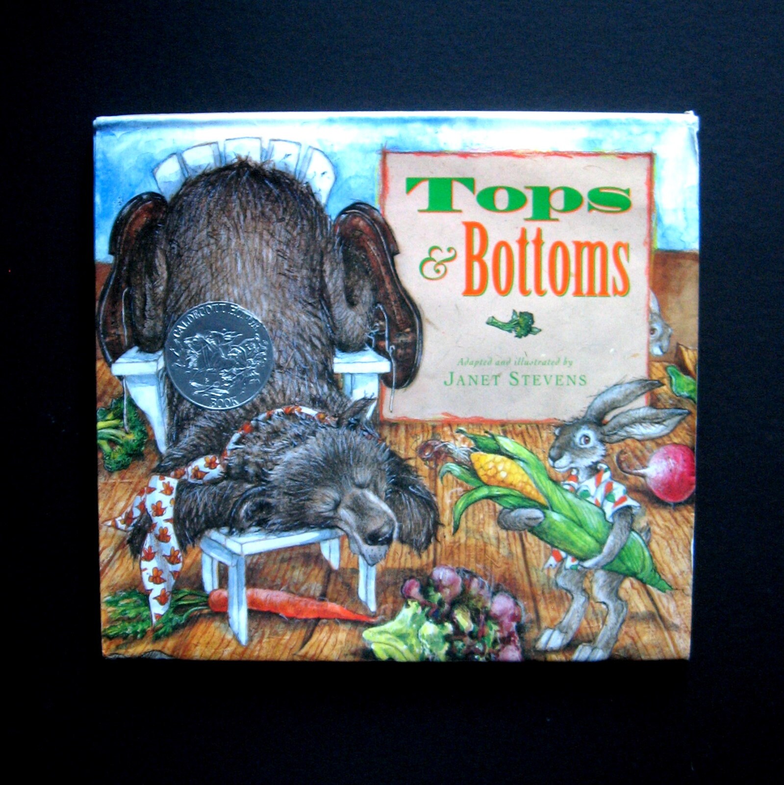 Vintage Books Tops And Bottoms 1995 By Janet Stevens Etsy Ireland