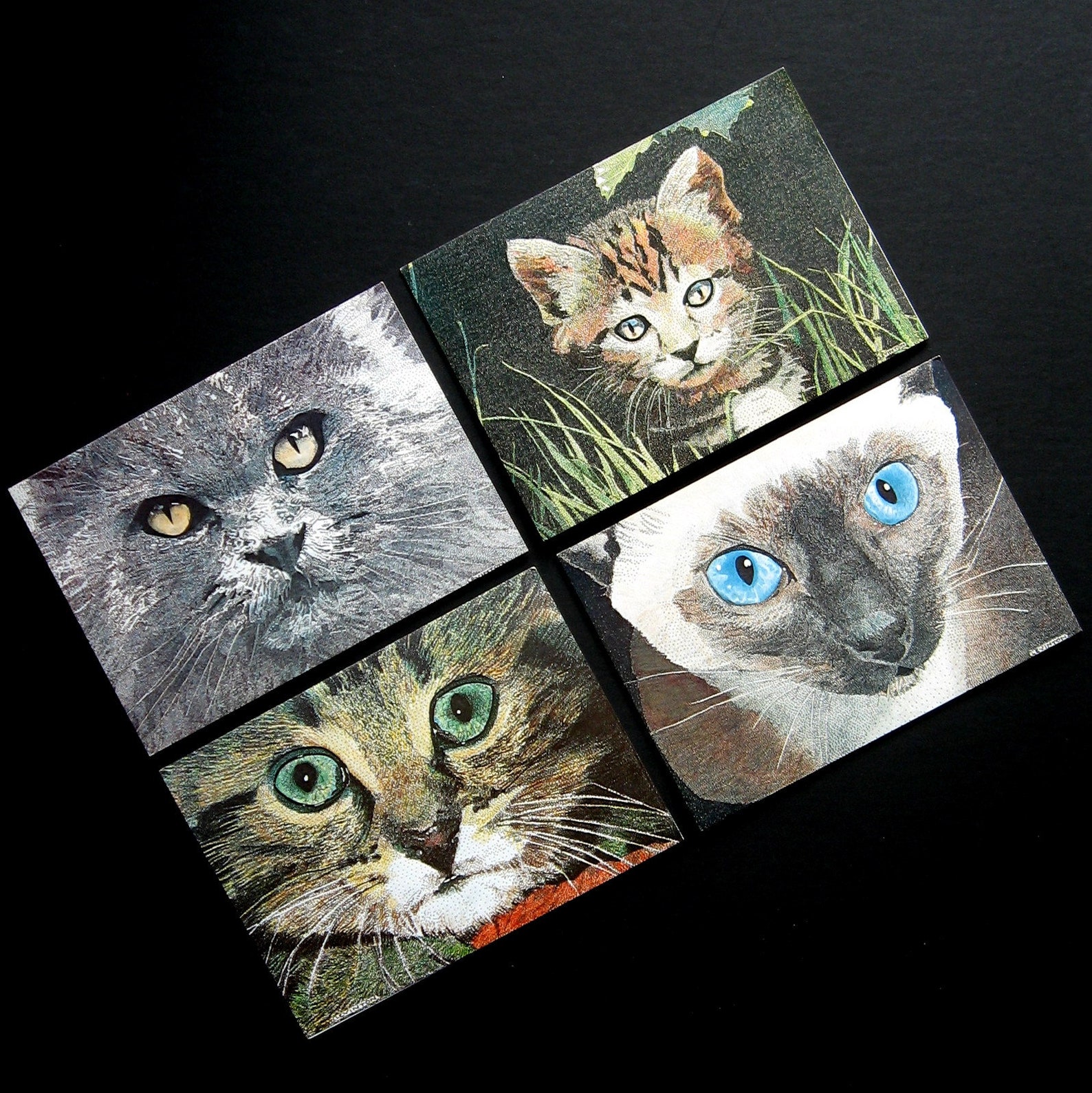 notecard sets notecard sets