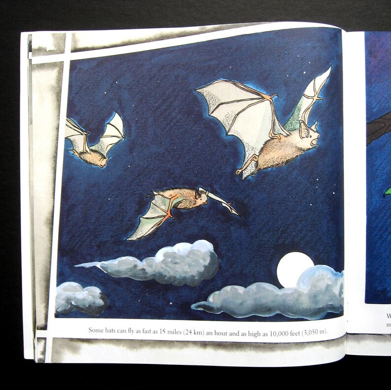 Vintage Book Bats by Gail Gibbons 1999 Children's Etsy