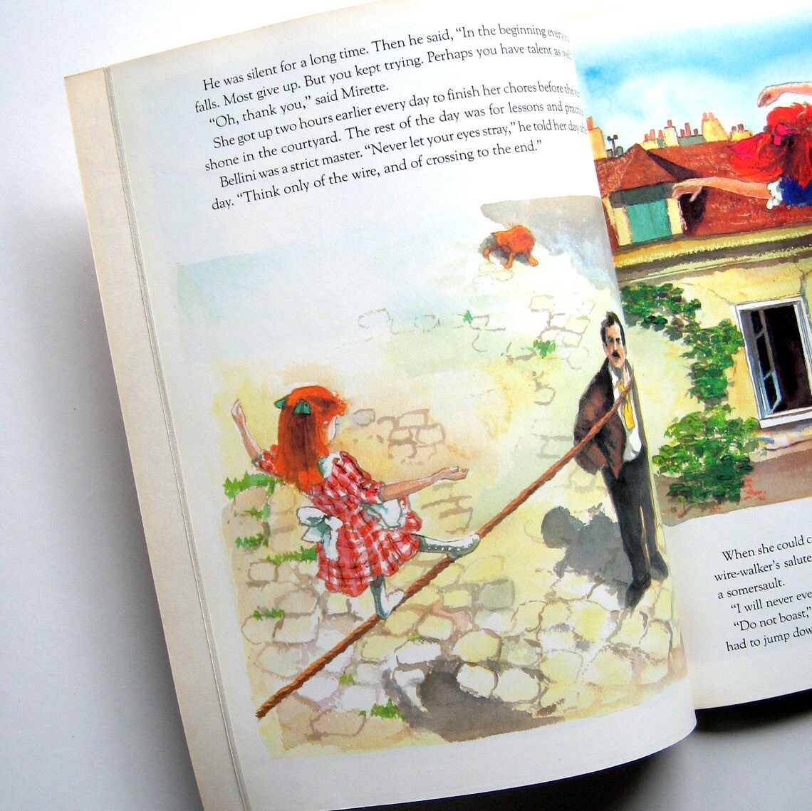 mirette on the high wire book mirette on the high wire book